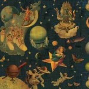 Meet your Posher, Charlotte